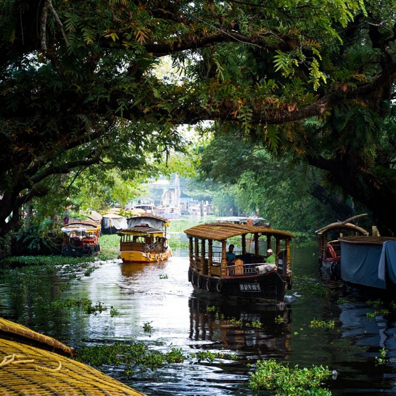 Romance in God's Own Country: A Kerala Honeymoon